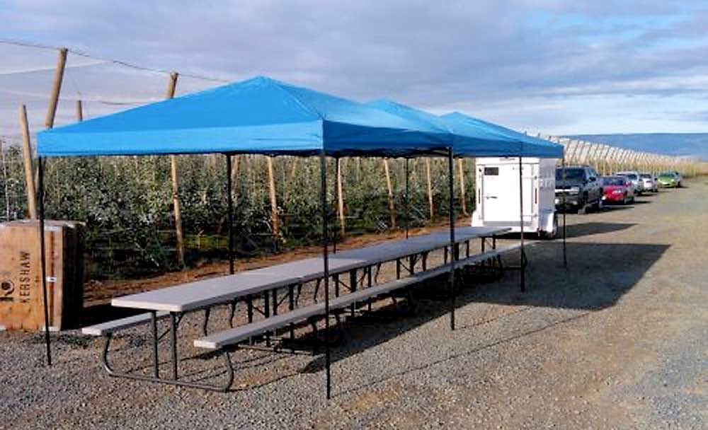 The mobile break stations were developed by the EFI-trained leadership team at Kershaw Fruit to provide a shady lunch spot outside whichever orchard the crew is working in that day. (Courtesy Domex Superfresh Growers)