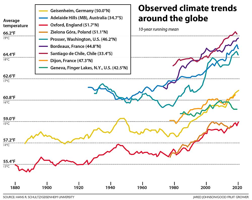 Upward swings in seasonal temperatures are occurring in many grape-growing regions. For each year noted, this graph shows the typical climate calculation known as a 10-year running mean, where the value shown for each year is calculated from the 10-year period that starts five years before that year. Running means are used to visualize trends rather than annual spikes and dips. (Source: Hans R. Schultz/Geisenheim University; Chart: Jared Johnson/Good Fruit Grower)