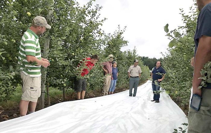 Tom and Alison DeMarree host an Extenday fabric demonstration in a Honeycrisp block at their farm in Wayne County, New York, in 2018. Cornell University’s Lake Ontario Fruit Program conducted a field trial of reflective fabric at the DeMarree farm that year. The trial determined that fabric can improve red coloring in apples, thereby improving growers’ bottom lines. (Courtesy Mario Miranda Sazo/Cornell University)
