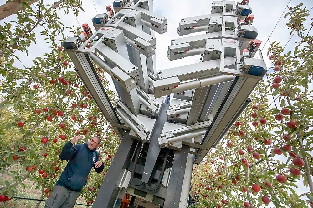 Fresh Fruit Robotics CEO Avi Kahani explains the modifications his harvester debuted in Washington trials in 2021. The machine features three tiers with six picking arms on each side, all of which can be raised so that full bins can be deposited behind the machine as it moves through an orchard, in this case a Kanzi (Nicoter), block in Ephrata, Washington. (TJ Mullinax/Good Fruit Grower)