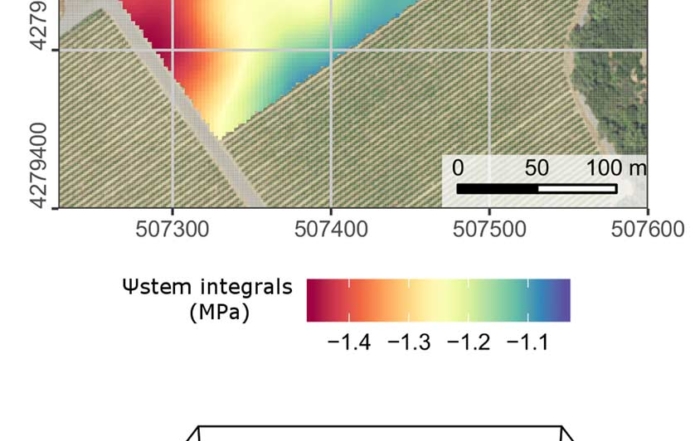 This map shows stem water potential, which is used to determine vines’ seasonal water stress, in a Sonoma, California, wine grape vineyard. (Courtesy Kaan Kurtural)