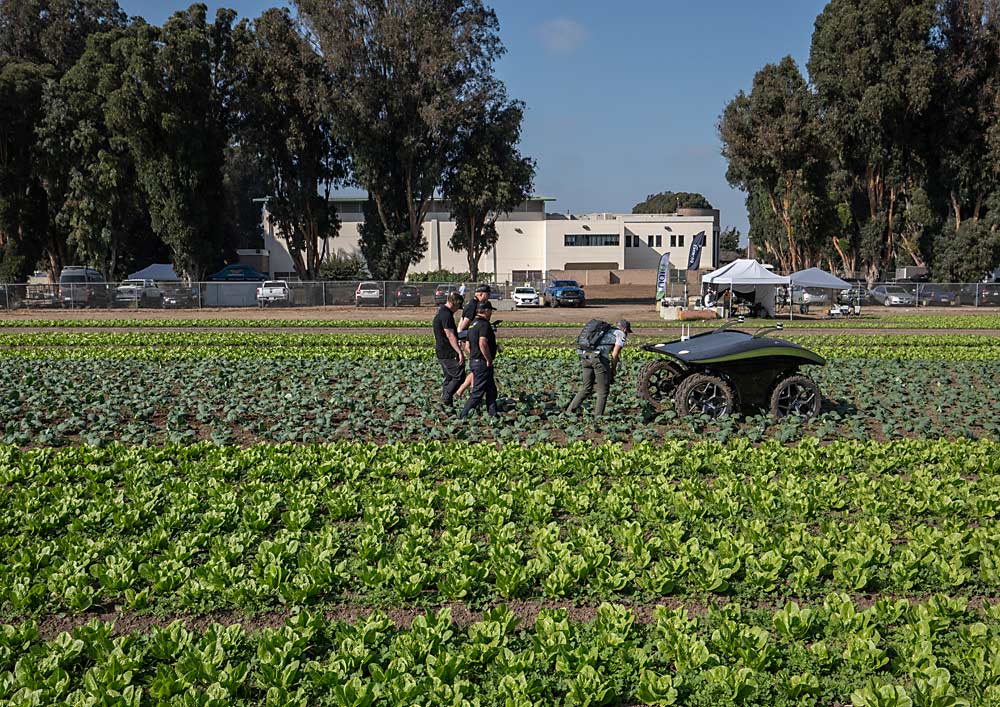 A short walk from the rodeo arena, attendees watch a demonstration by the WeedSpider, from California robot company SeedSpider, in a vegetable field planted by FIRA specifically for the event. (TJ Mullinax/Good Fruit Grower)