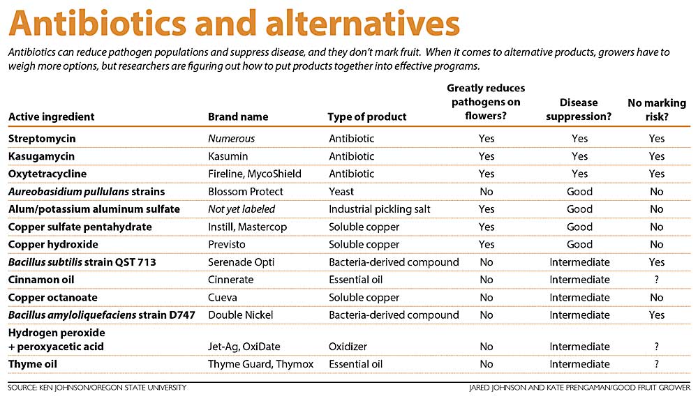 This chart shows a comparison of antibiotics and alternative treatments available for controlling fire blight. (Source: Ken Johnson/Oregon State University; Jared Johnson and Kate Prengaman/Good Fruit Grower)