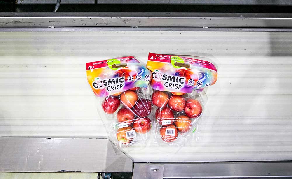 Four-pound pouch bags of Cosmic Crisp apples, packed by machine, roll by on a conveyor belt toward cushioned boxes at CPC International.  (TJ Mullinax/Good Fruit Grower)