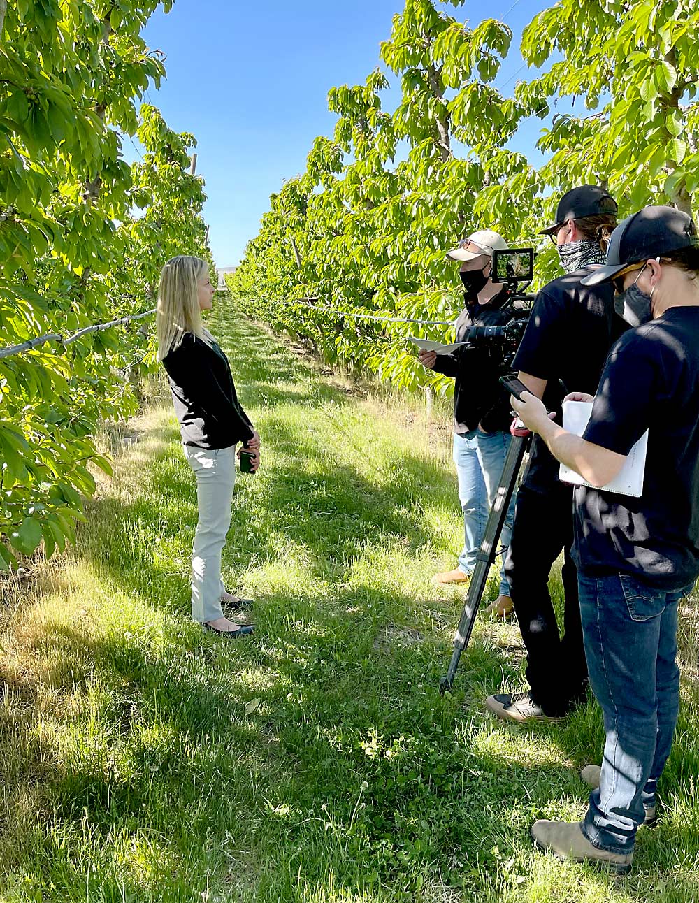 Kellly Pritchett, a nutrition professor at Central Washington University, is interviewed in May at a Tieton, Washington, cherry orchard for a Northwest Cherry Growers video. The video, produced by Digital Vendetta, will be shown at a nutrition conference in June. (Courtesy James Michael/Northwest Cherry Growers)