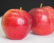 Foxtrot apple in Yakima, Washington on May 1, 2016. (TJ Mullinax/Good Fruit Grower)