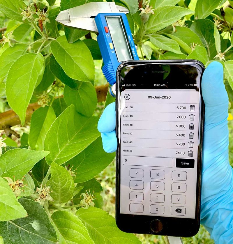 New apps for thinning by handheld - Good Fruit Grower