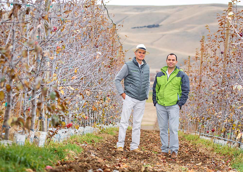 Nestor Isacc Garcia, left, and his son, Nestor Isaac Garcia, in a young 5-acre WA 38 (Cosmic Crisp) block they bought in 2020 near Benton City, Washington. The younger Garcia, who works as a loan officer for Northwest Farm Credit Services, said they, and many other beginning farmers, depend on a day job to have the financial security to grow their farms. (TJ Mullinax/Good Fruit Grower)