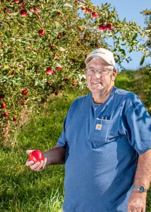 پس از انگشت نگاری DNA توسط دانشگاه کالیفرنیا ، دیویس نشان داد که این سیب یک نهال شانس است ، ون دی براک آن را Vandees نامید ، با الهام از یک نام مستعار محبوب برای برادرزاده ستاره بیس بال خود.  این میوه شیرین و ترد مورد توجه دانش آموزان مدارس محلی و غرفه های مزرعه قرار گرفته است ، جایی که وی محصول کوچک خود را می فروشد.  (TJ Mullinax / خوب پرورش دهنده میوه)
