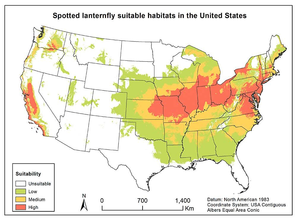 Figure 1 identifies spotted lanternfly suitable habitat in the United States. (Courtesy U.S. Department of Agriculture, Agricultural Research Service)