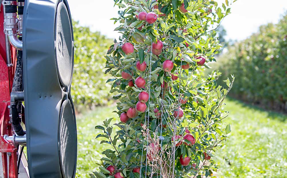 When it comes to technology, Farrow believes spending money to improve crop value pays off. Take, for example, this leaf blower, which the farm just bought this year, running in a SnapDragon block to improve color. For an apple that’s returning $30 a bushel to the grower, “you only have to change one apple per tree” from Fancy to Extra Fancy with extra color to justify the cost of reflective mulch ($500 per acre), Farrow said, and it’s even less for the leafer, which he puts at under $50 an acre. (Amanda Morrison/for Good Fruit Grower)