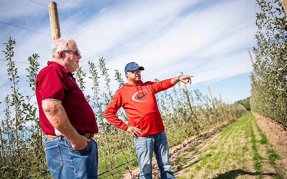 Rod Farrow, left, and his longtime farm manager-turned-partner, Jose Iniguez, look over a young apple block at Lamont Fruit Farm in Waterport, New York. They share an attention to detail and a belief in empowering people that Farrow credits for much of the success in his career. (Amanda Morrison/for Good Fruit Grower)