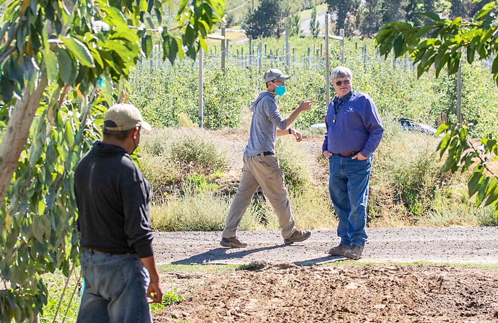 Mike Robinson discusses cover crop seeding with Jamie Baird, background, and Jose Luis Perez, foreground. (TJ Mullinax/Good Fruit Grower)