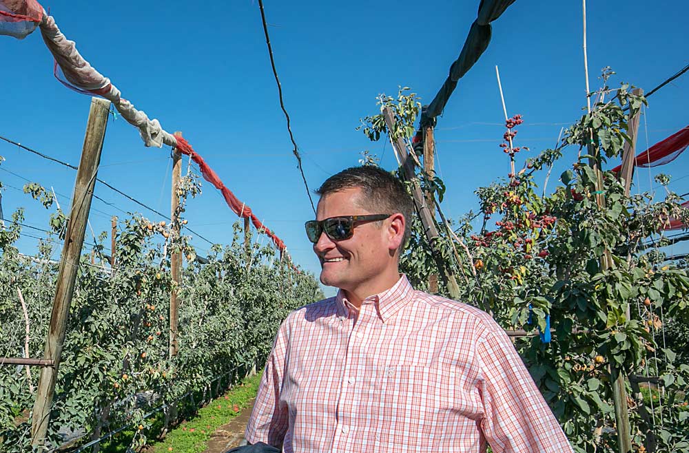 When Matt Jeffery joined the family orchard business, one of his first projects was coordinating this netting research trial with WSU. Now, seven years later, the colorful nets have been abandoned in favor of efficient mist cooling. (TJ Mullinax/Good Fruit Grower)