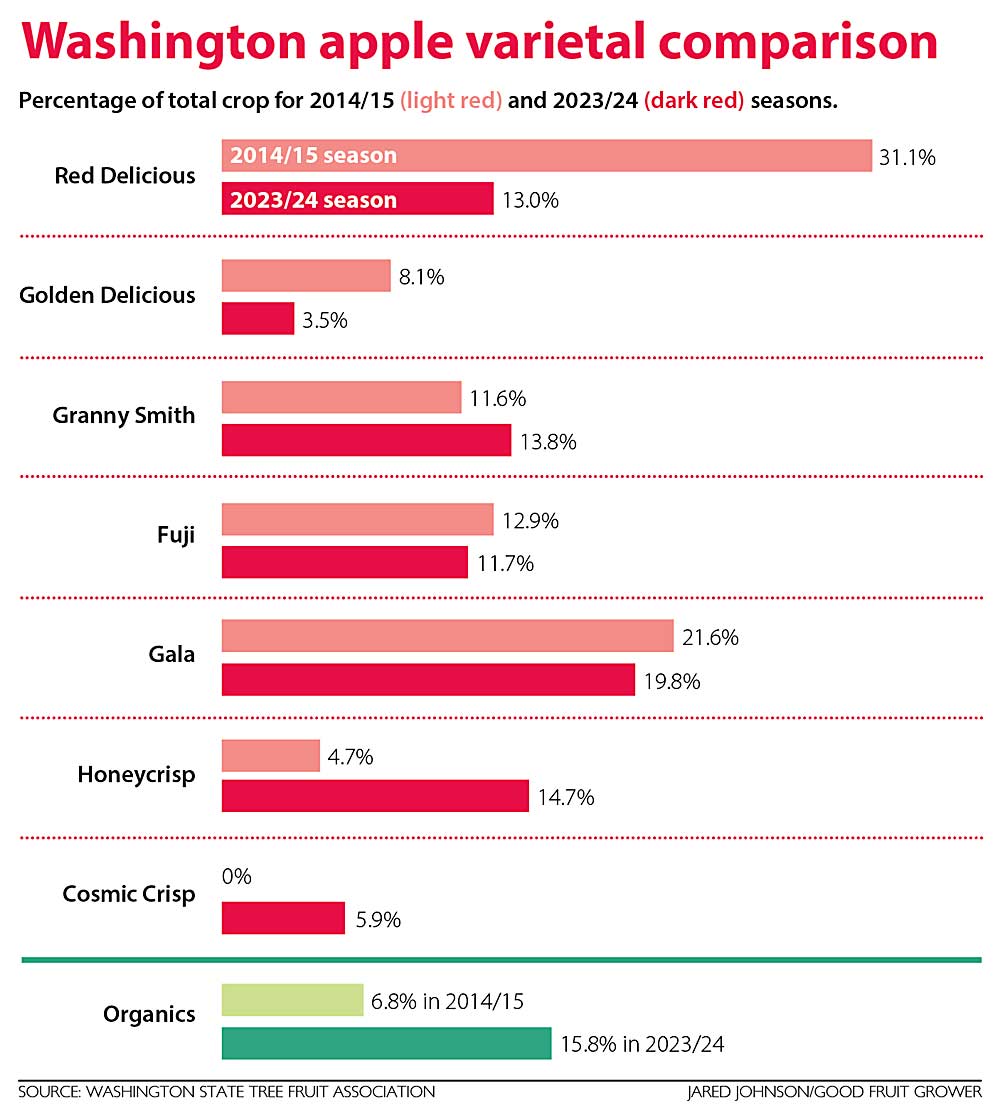 This chart shows a comparison of Washington apple varietals in the 2014–15 and 2023–24 seasons. (Source: Washington State Tree Fruit Association; Graphic: Jared Johnson/Good Fruit Grower)