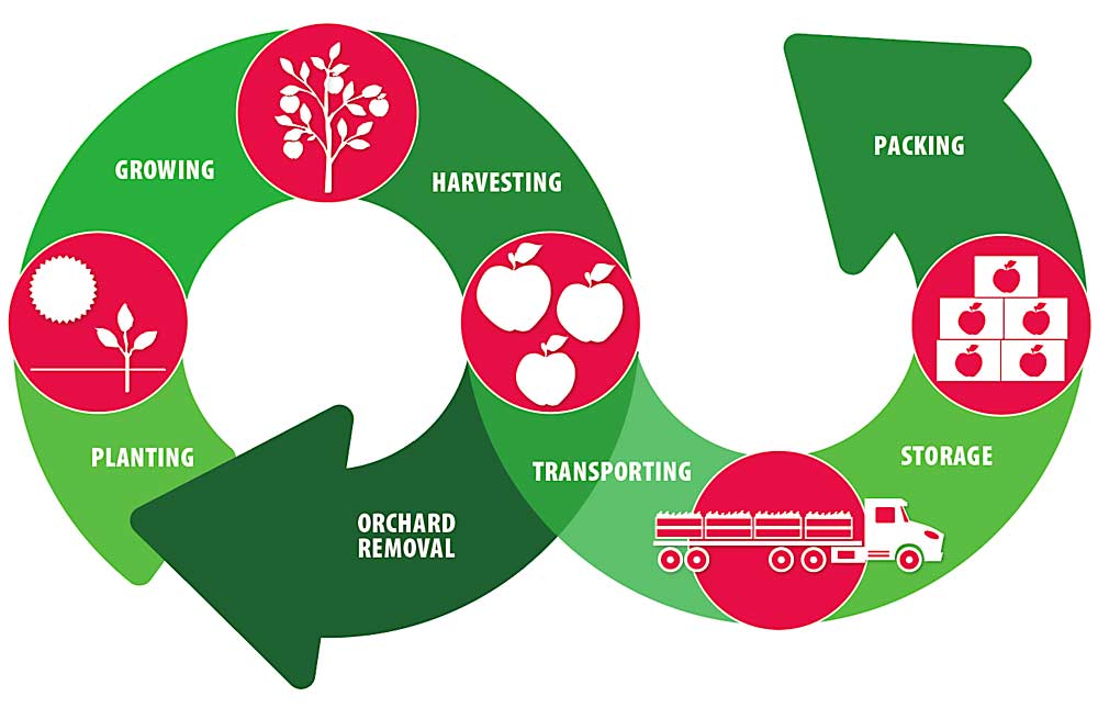An illustration of the apple production system in Washington state. Data from the industry will be used to complete a life cycle assessment and develop region-specific solutions to climate change challenges. (Illustration: Jared Johnson/Good Fruit Grower)