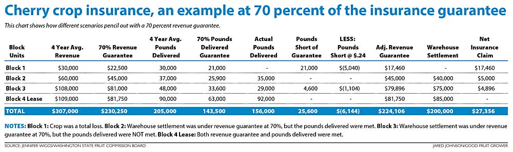 This chart shows an example of cherry crop insurance at 70 percent of the insurance guarantee. (Source: Jennifer Wiggs/Washington State Fruit commission Board; Graphic: Jared Johnson/Good Fruit Grower)