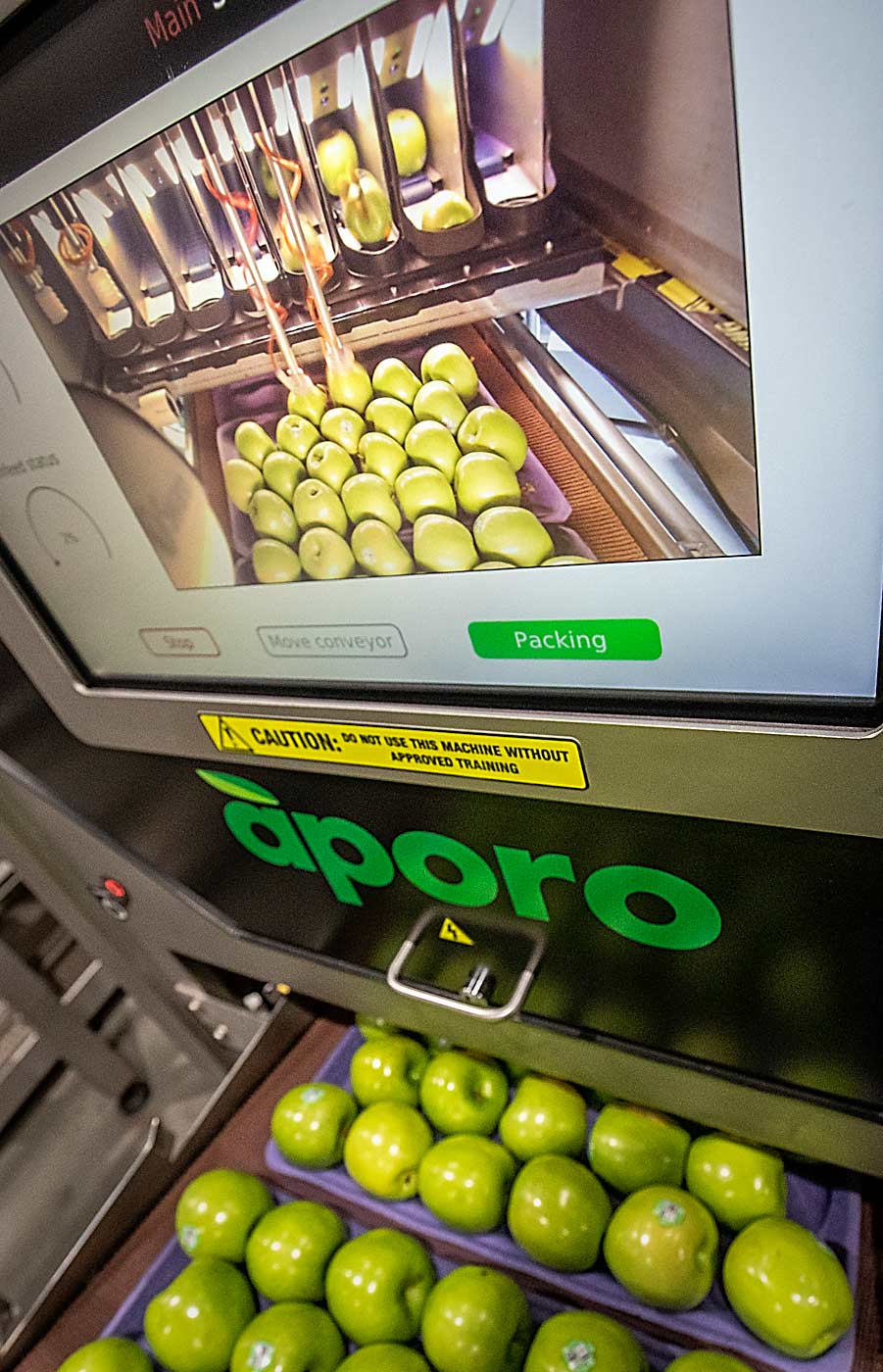 An automated tray-filler gently places Granny Smith apples in trays for shipment at CPC International. (TJ Mullinax/Good Fruit Grower)