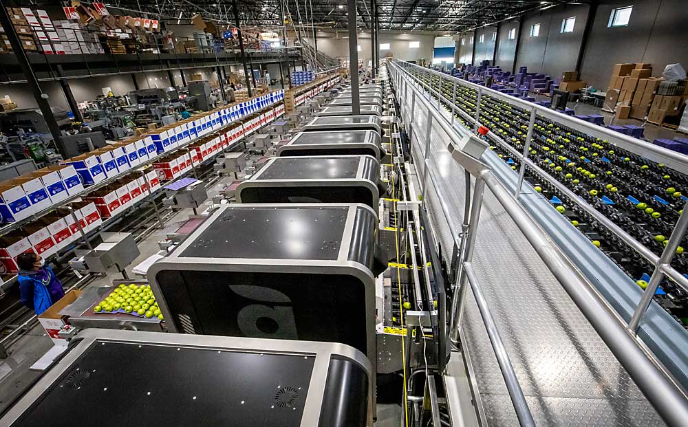 Few people populate the highly automated CPC International apple packing line during a run of Granny Smith apples in December in Yakima, Washington. Investments in robotics at packing facilities in recent years were made in the name of efficiency and food safety, but they are paying social-distance dividends during the coronavirus pandemic. (TJ Mullinax/Good Fruit Grower)