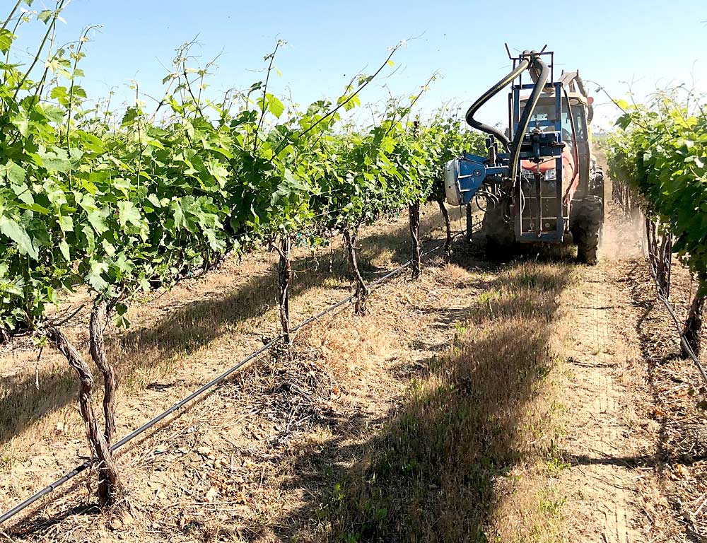 A tractor with a leaf blower attachment makes its way through a vineyard in 2019.(Courtesy Richard Hoff/Mercer Ranches)