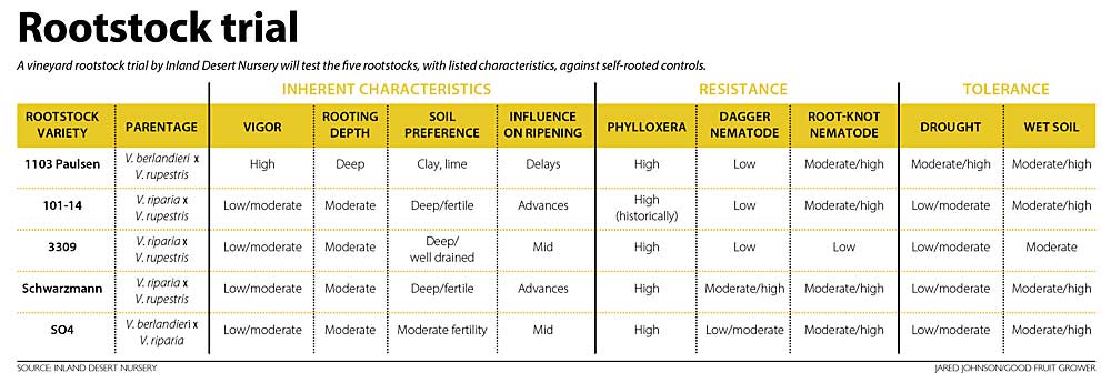 A chart detailing a grape rootstock trial planted in Washington state in 2021 . (Source: Inland Desert Nursery; Graphic: Jared Johnson/Good Fruit Grower)
