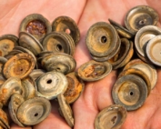 Margaret McCoy, a Washington State University graduate student studying spray technologies, shows a collection of used, rusted disc-core nozzles, the kind often found in a growers’ shop. (Shannon Dininny/Good Fruit Grower)