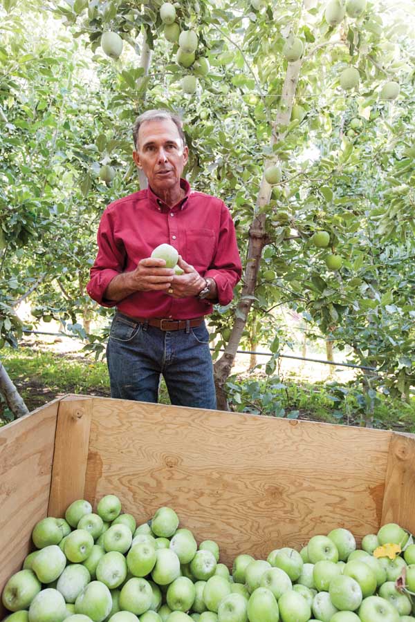 Craig O’Brien design his orchards to be attractive to workers. “We’ve been blessed with a workforce that’s hard working and motivated, but that supply of workers appears to be shrinking,” he says. (TJ Mullinax/Good Fruit Grower)