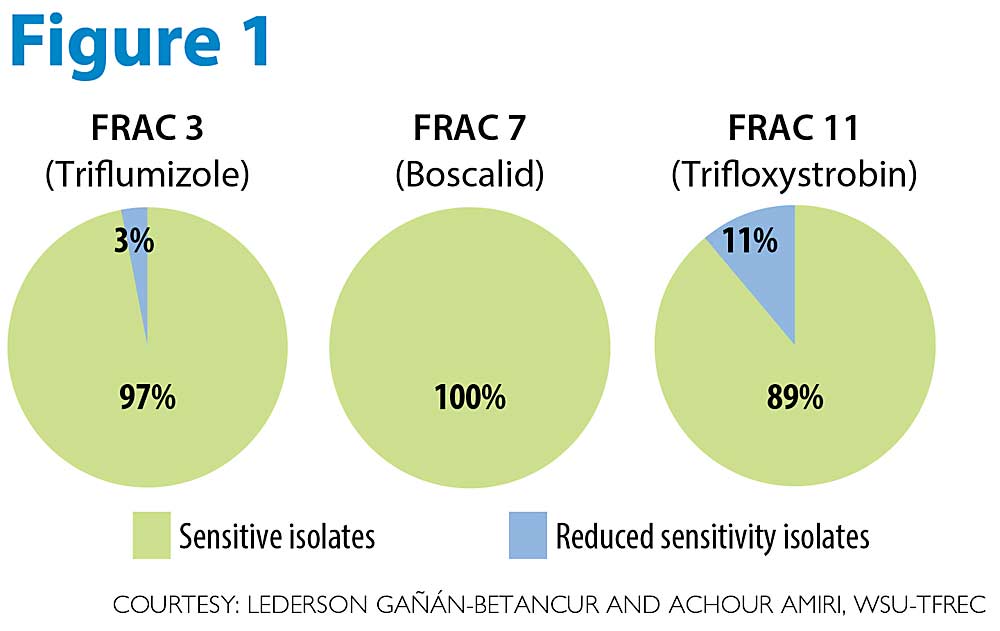 Fungicide sensitivity frequency in 250 P. leucotricha isolates from Washington, New York and Virginia to triflumizole, boscalid and trifloxystrobin. (Courtesy: Lederson Gañán-Betancur and Achour Amiri, WSU-TFREC)