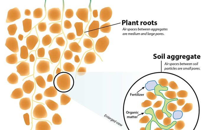 This illustration shows well-structured soil with a good range of aggregate and pore sizes. (Source: Case et al./CRC Soil and Land Management; Graphic: Jared Johnson/Good Fruit Grower)