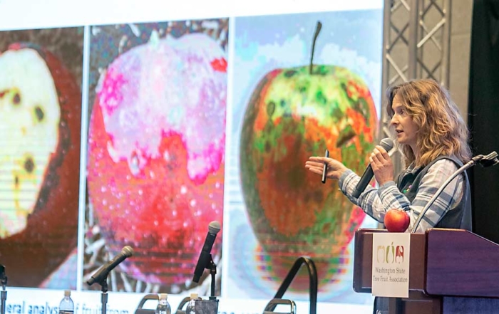 Ines Hanrahan, executive director of the Washington Tree Fruit Research Commission, speaks about disorders in Cosmic Crisp at the Washington State Tree Fruit Association’s annual meeting in December 2018. (TJ Mullinax/Good Fruit Grower)