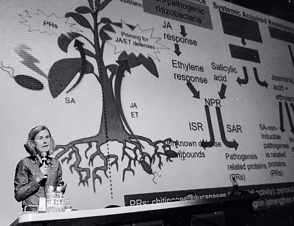 Tianna DuPont says systemic acquired resistance can boost the effectiveness of organic and conventional fire blight controls. (TJ Mullinax/Good Fruit Grower)