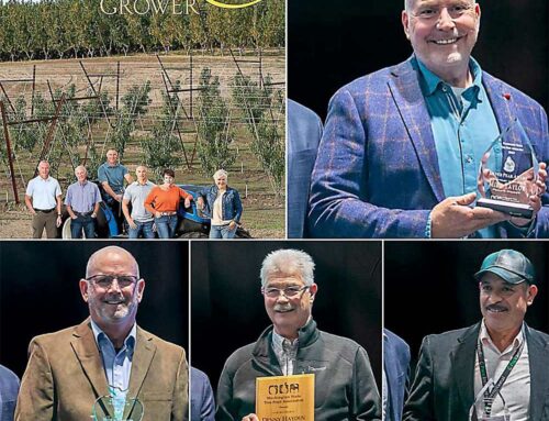 Hort Show Day 2: Industry awards