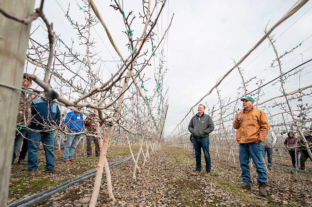Sean Gilbert of Gilbert Orchards, left, and orchard manager Chris Peters discuss the struggle of coaxing a 2016 planting of Honeycrisp trees on G.890 roots to fill their space in shallow, rocky soil after cropping too soon. (TJ Mullinax/Good Fruit Grower)