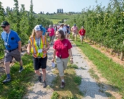 Molly Thurston, center, and Madeleine van Roechoudt, right, along with other attendees of the International Fruit Tree Association’s summer tour walk through Dorenberg Orchards in Winfield, British Columbia, on July 25, 2018. (TJ Mullinax/Good Fruit Grower)