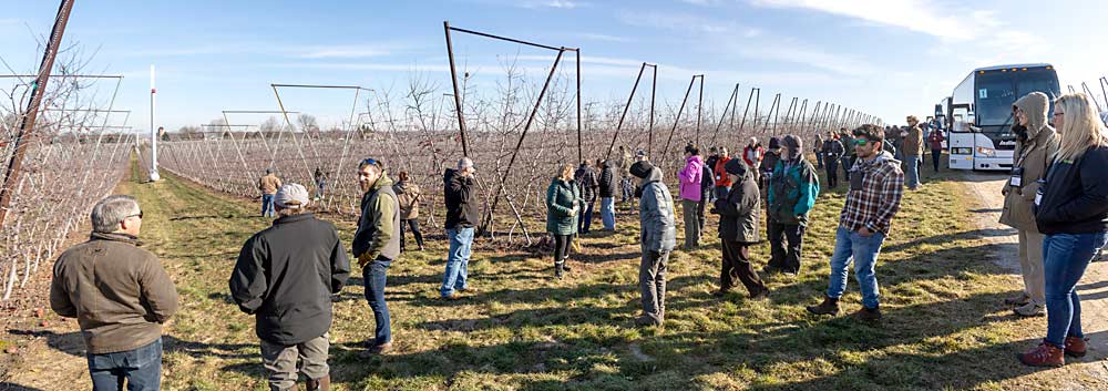 The International Fruit Tree Association visits a block of V-trellis apples during its 66th annual conference and tours in Grand Rapids, Michigan, in February. Riveridge Produce Marketing, which planted the Fuji and Honeycrisp trees, is probably the only V-trellis apple grower in Michigan. (Matt Milkovich/Good Fruit Grower)