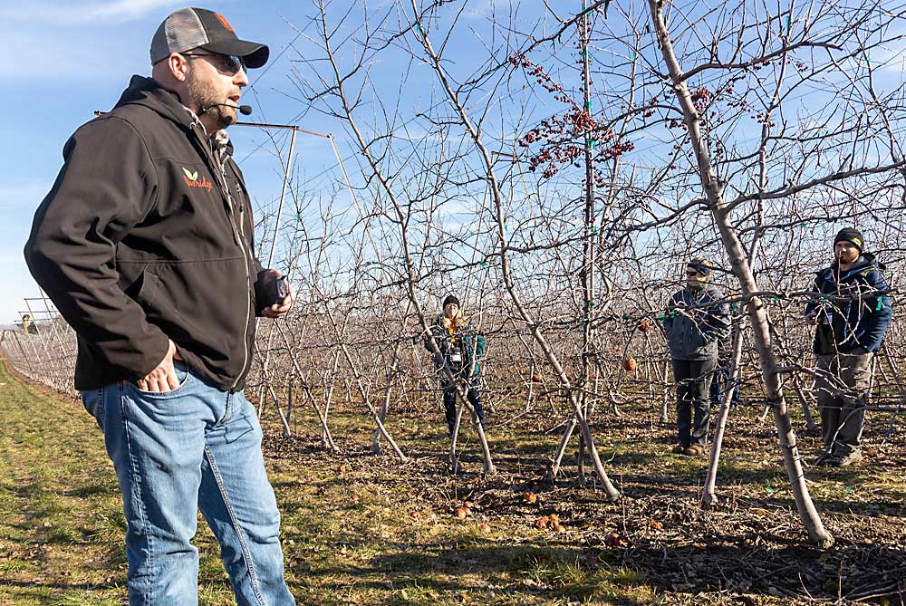 Riveridge operations manager Justin Finkler tells IFTA visitors about the V-trellis Aztec Fuji and Premier Honeycrisp trees that are spaced 12 by 3 feet and 12 by 2 feet on M.9-337 and M.29 rootstocks. (Matt Milkovich/Good Fruit Grower)