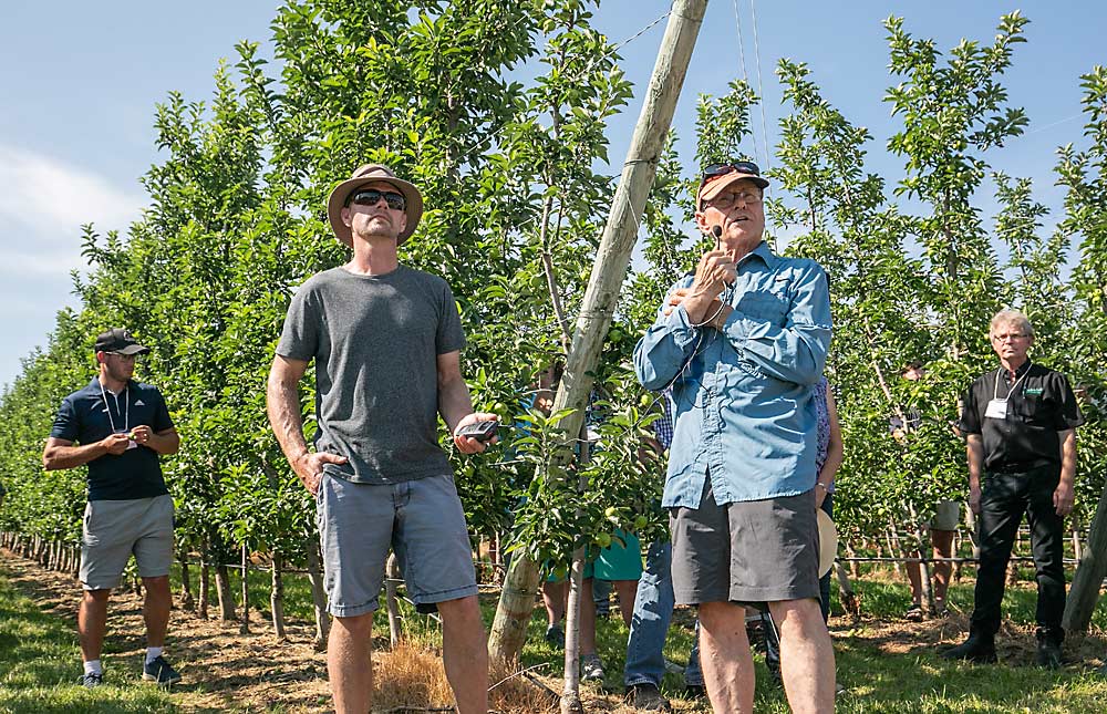 CAP Farms growers Eric Chappel, center left, and Andrew Parker, center right, said Ambrosia's long, brittle stem can cause bruising and dropping fruit in New York's windy climate. Scotland.  (TJ Mullinax/Good Fruit Grower)