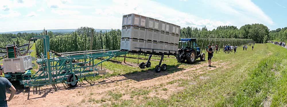 The Darwin CF 105, a container filler and orchard platform, attaches to a three-row container trailer.  Full containers are moved through the bottom row of the trailer and deposited at the end of the orchard row.  (TJ Mullinax/Good Fruit Grower)