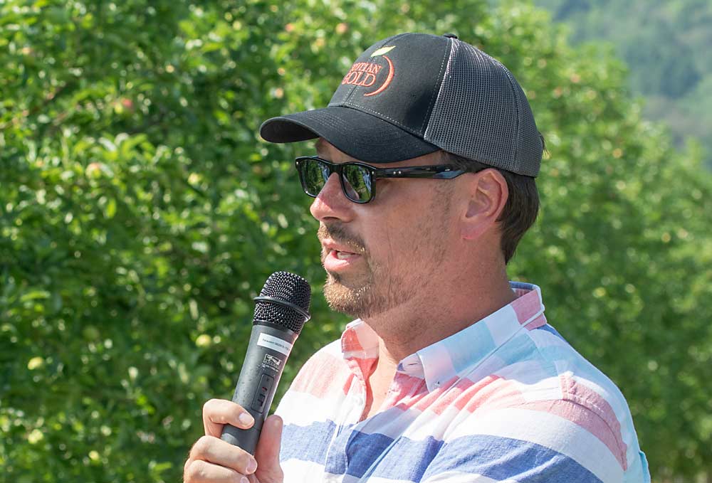 Grower Henry Wohlgemuth said Ambrosia’s mid-October picking window in Nova Scotia is prime time for storms, so he likes to get them all off in one picking. (TJ Mullinax/Good Fruit Grower)