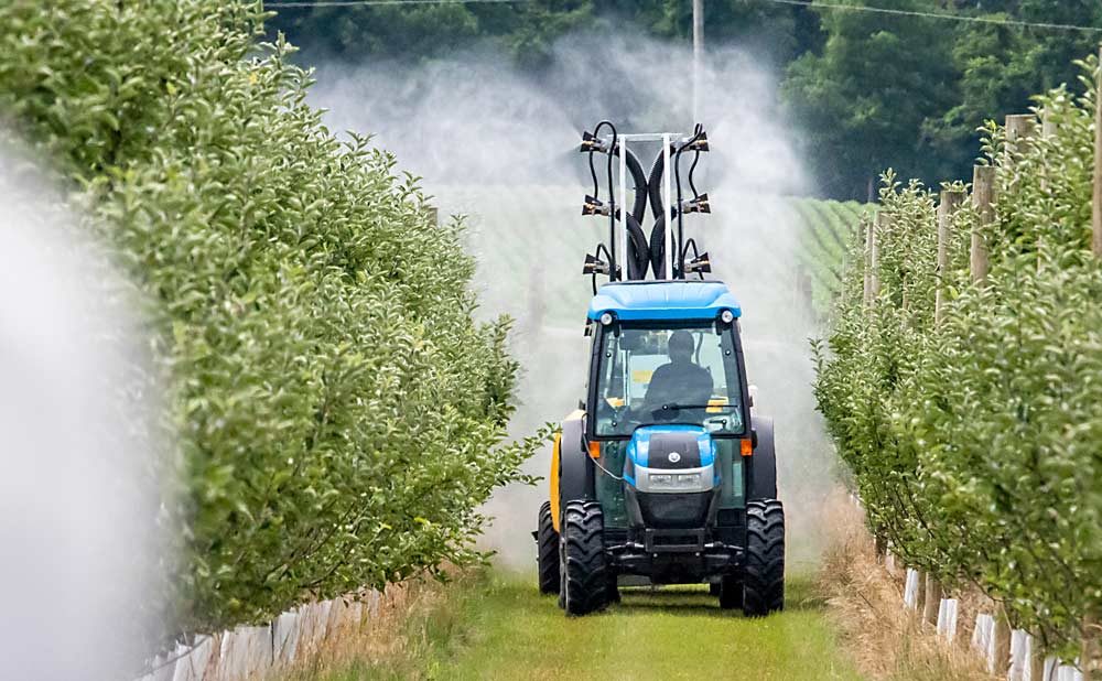 With new, high-density systems, many growers overapply chemicals, said Jason Deveau, the “spray guy” at the Ontario Ministry of Agriculture, Food and Rural Affairs, when he demonstrated his crop-adapted spraying approach at Hedges Apples during the International Fruit Tree Association 2019 Summer Study Tour in Ontario. This test, using the lowest application settings, still achieved sufficient canopy coverage, according to the water-sensitive paper Deveau recommends using to calibrate sprayers.(TJ Mullinax/Good Fruit Grower)