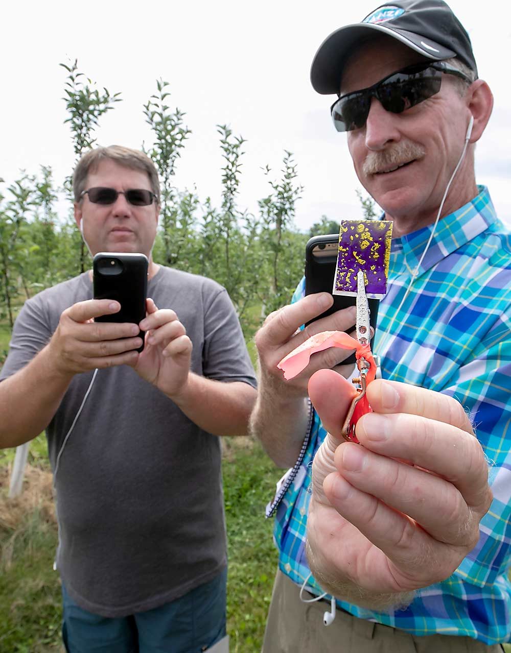 Dale Goldy, Gold Crown Nursery, left, and Tim Welsh, Columbia Fruit Packers Inc., take photos of an oversprayed test paper during a demonstration of crop-adapted spraying. Overapplication is common in new, high-density, narrow-canopy orchards, said spray specialist Jason Deveau. (TJ Mullinax/Good Fruit Grower)
