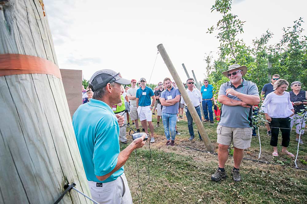 Rod Farrow discusses precision crop load management with Tom Ferri, at left, in Ferri’s super spindle Honeycrisp block in Ontario, Canada, during the 2019 International Fruit Tree Association Summer Study Tour. (TJ Mullinax/Good Fruit Grower)
