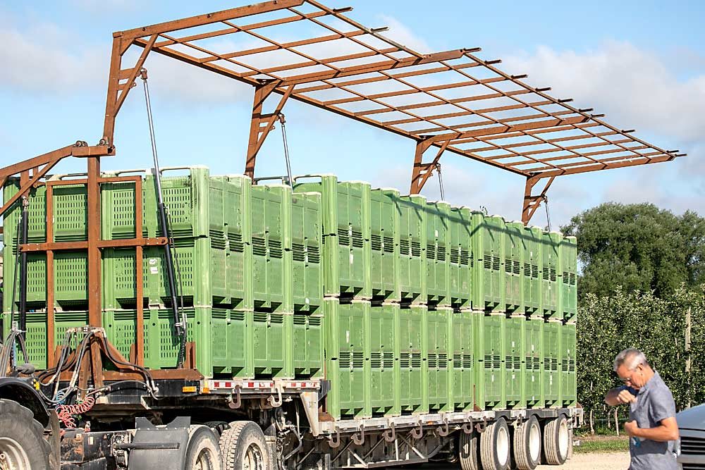 Botden Orchards built a retractable cage that lowers into place to hold apple bins safely without strapping. It's one of the many pieces of custom equipment the Botden family shared with attendees of the 2019 International Fruit Tree Association Summer Study Tour in Ontario, Canada. (TJ Mullinax/Good Fruit Grower)