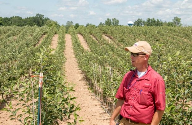 Arctic armor: Methods of combating frost - Good Fruit Grower