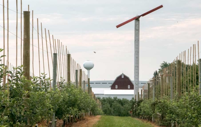 Wind machines protecting young, high-density apple orchards, like this one in Sparta, Michigan, are becoming almost as common to the region’s countryside as bulb-shaped water reservoirs and red barns. The growing region has invested heavily in frost protection measures over the past several years, and those improvements helped mitigate the effects of a severe spring frost this year. (Ross Courtney/Good Fruit Grower)