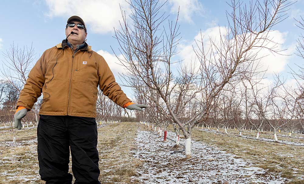 Professor Jim Schupp discusses his NC-140 peach rootstock trials for IFTA visitors. He said the peach industry is on the cusp of having viable size-controlling rootstocks, much as the apple industry was a few decades ago. (Matt Milkovich/Good Fruit Grower)