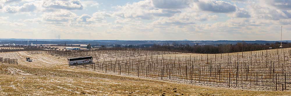 View from the NC-140 peach block at Penn State’s Fruit Research and Extension Center. The bus in the distance brought visitors for the International Fruit Tree Association tour in February, as part of the group’s 65th annual conference. (Matt Milkovich/Good Fruit Grower)