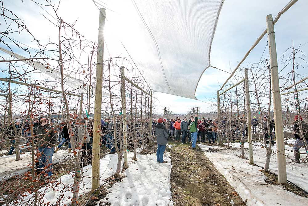 Mike Robinson leads a tour in 2017 through his orchard. Robinson, the 2021 Good Fruit Grower of the Year, asserts that all components of horticulture are interconnected, from the covering to the soil. (TJ Mullinax/Good Fruit Grower)