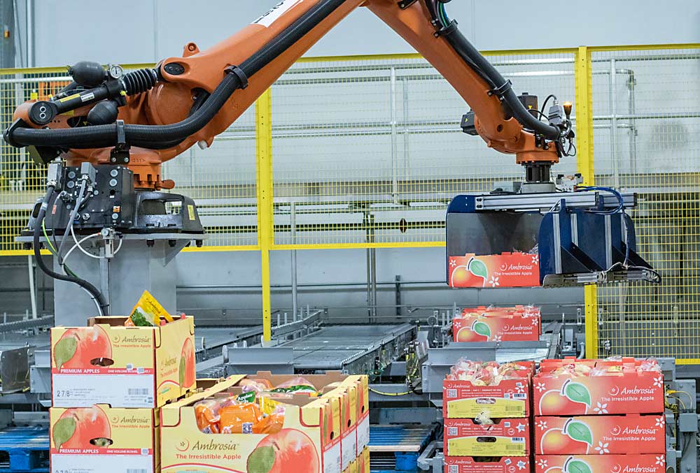 A robot stacks pallets of Ambrosia during an industry tour at the Baker Flats facility in 2017. (TJ Mullinax/Good Fruit Grower)