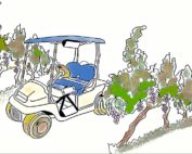 As seen in this illustration, Cornell researchers place a smartphone on an ATV and run it down vineyard rows at night. The smartphone’s camera takes video, and an app uses that footage to count clusters. Results so far show that this method of estimating crop load is more accurate and less expensive than more traditional methods. (Courtesy Cornell University)